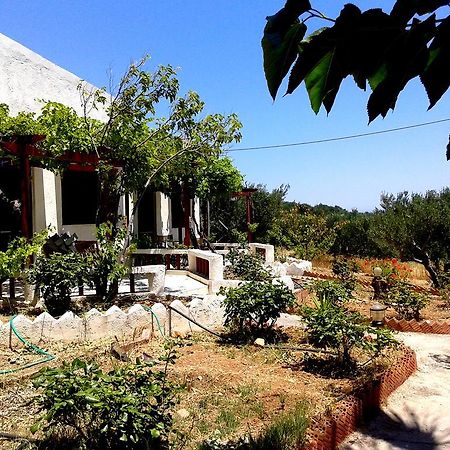 Sunrise Apartments Παλαίκαστρο Εξωτερικό φωτογραφία