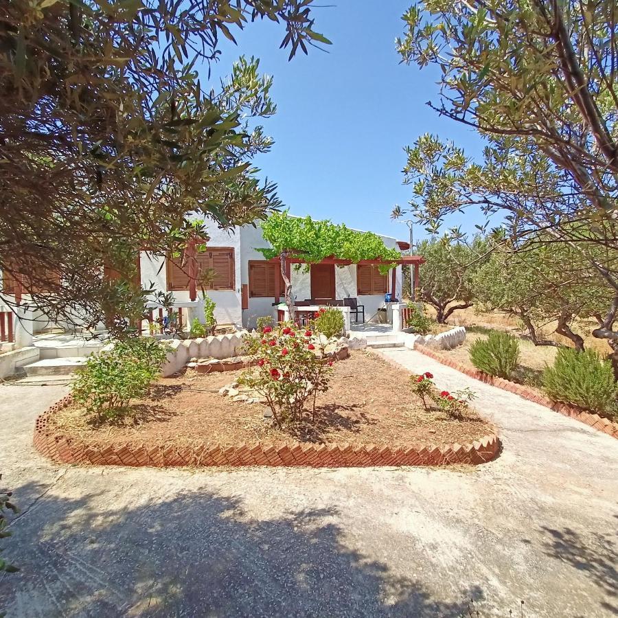 Sunrise Apartments Παλαίκαστρο Εξωτερικό φωτογραφία