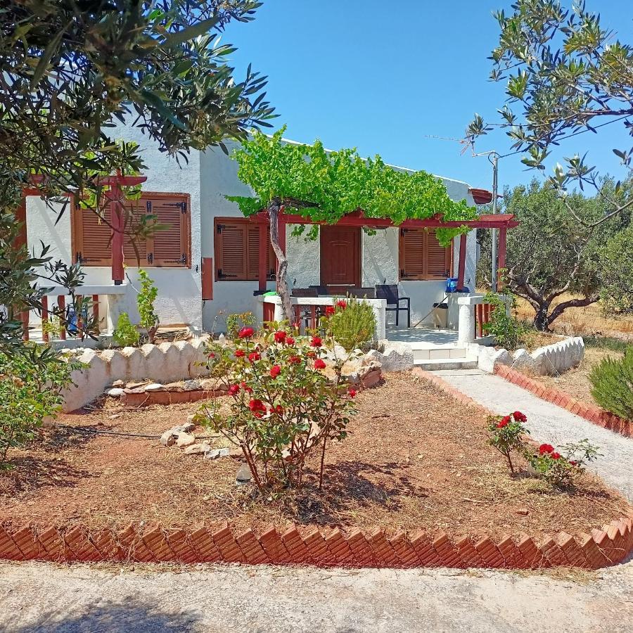 Sunrise Apartments Παλαίκαστρο Εξωτερικό φωτογραφία