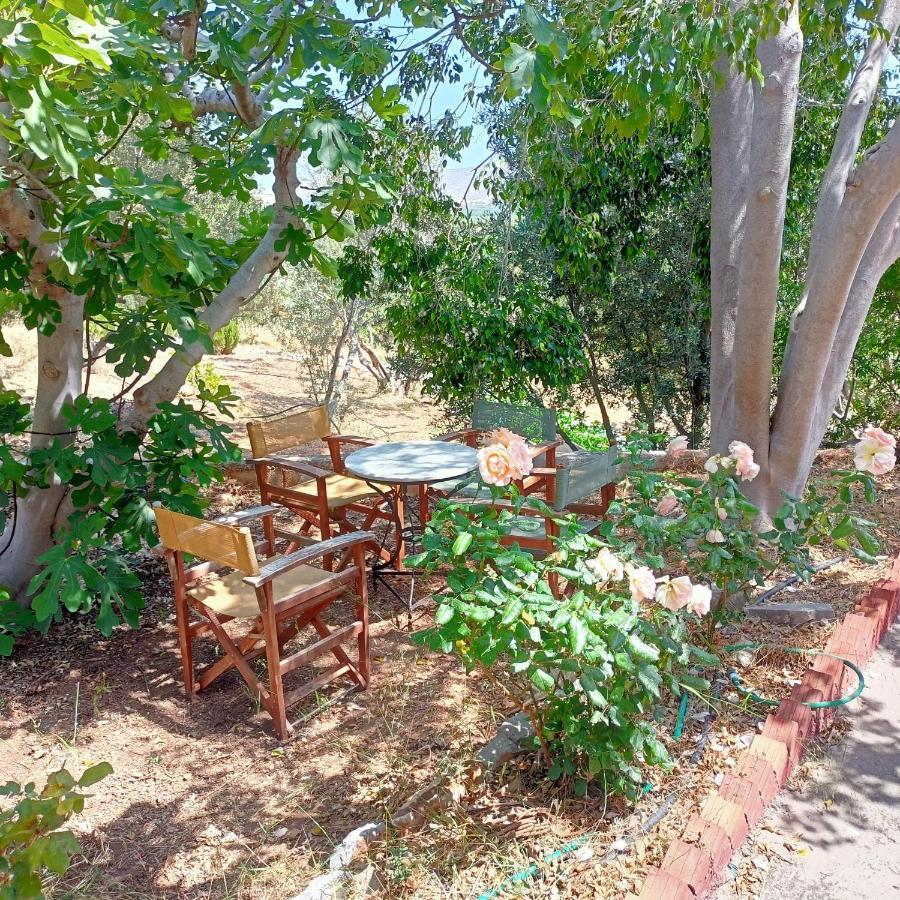 Sunrise Apartments Παλαίκαστρο Εξωτερικό φωτογραφία