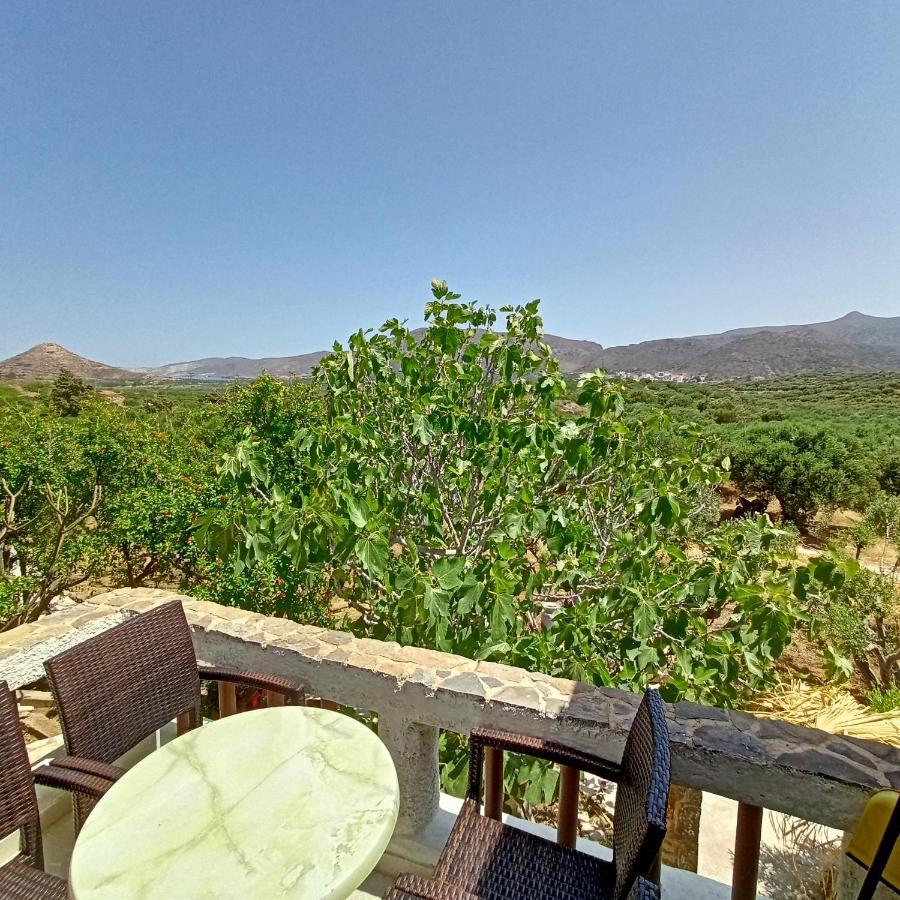 Sunrise Apartments Παλαίκαστρο Εξωτερικό φωτογραφία