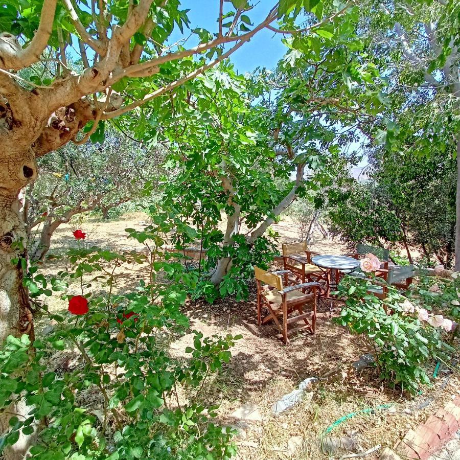 Sunrise Apartments Παλαίκαστρο Εξωτερικό φωτογραφία